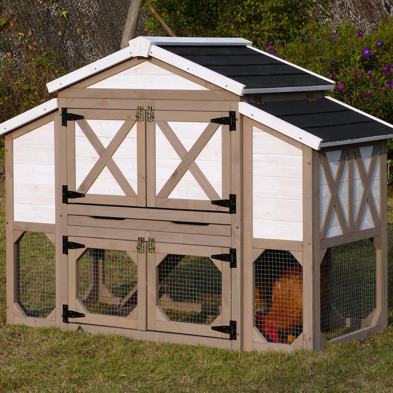 Chicken coop for sale toronto Estate of the art